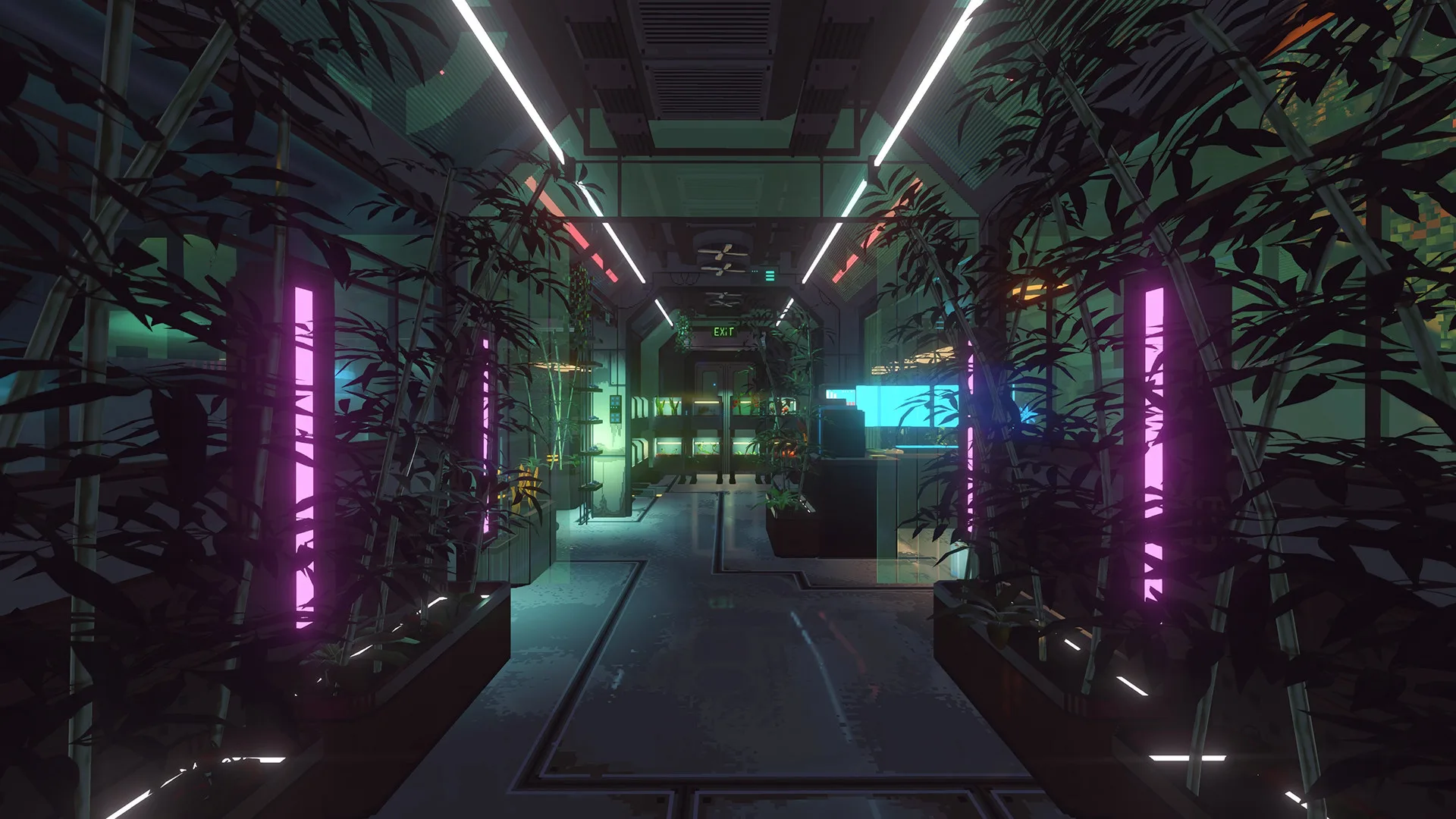 An indoor growing corridor with leafy plants on both sides and upright purple light tubes